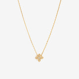 COLLIER BELLAMY